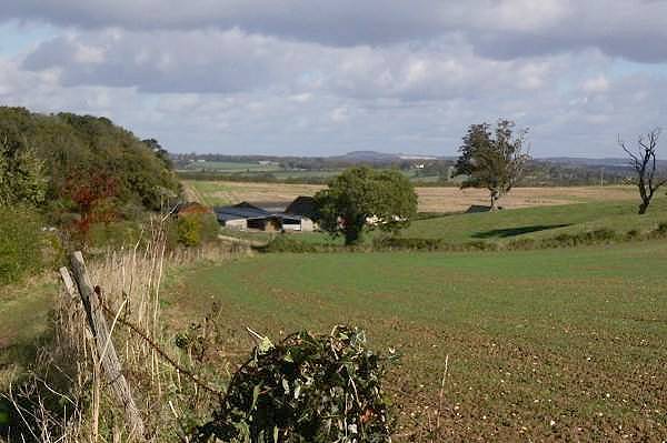 Picture, Photo, View of Badbury Rings, Dorset