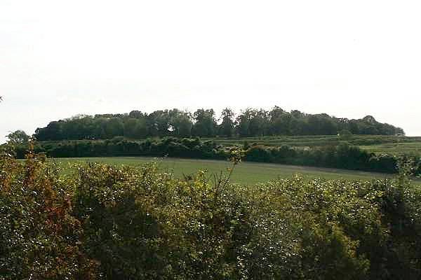 Picture, Photo, View of Badbury Rings, Dorset