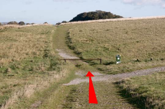 Walk direction photograph: 2 for walk North of the Rings, Badbury Rings, Dorset, South West England.