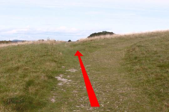 Walking direction photo: 3 for walk North of the Rings, Badbury Rings, Dorset.