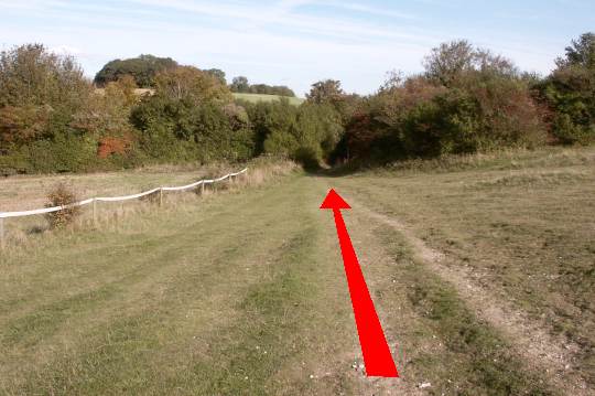 Walk direction photograph: 4 for walk North of the Rings, Badbury Rings, Dorset, South West England.