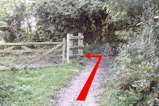 Walking direction photo: 5 for walk North of the Rings, Badbury Rings, Dorset.