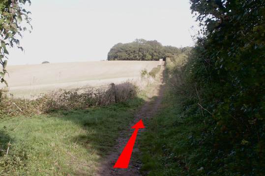 Walk direction photograph: 6 for walk North of the Rings, Badbury Rings, Dorset, South West England.