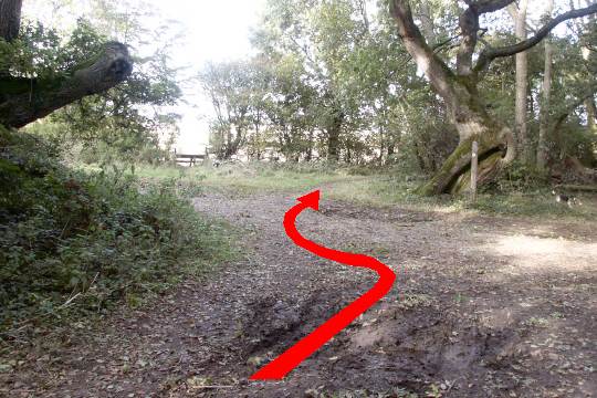 Walking direction photo: 7 for walk North of the Rings, Badbury Rings, Dorset.