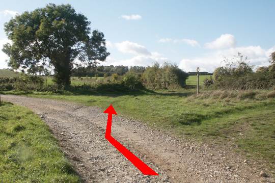 Walking direction photo: 9 for walk North of the Rings, Badbury Rings, Dorset.