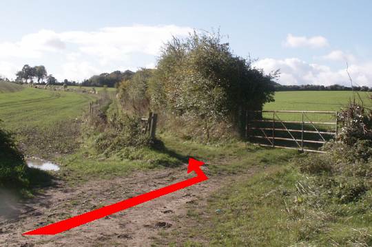 Walk direction photograph: 10 for walk North of the Rings, Badbury Rings, Dorset, South West England.