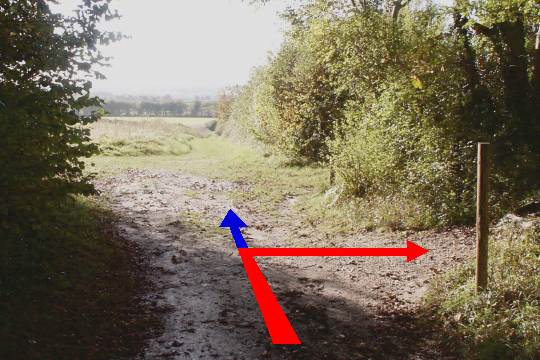 Walking direction photo: 11 for walk North of the Rings, Badbury Rings, Dorset.