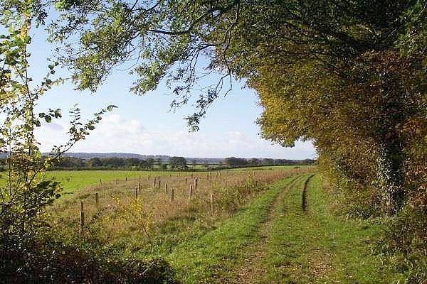 Picture, Photo, View of Badbury Rings, Dorset