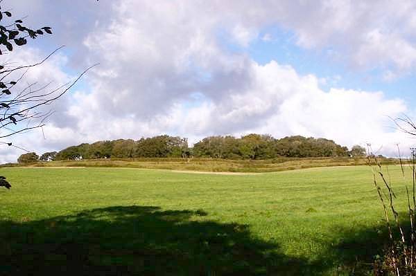 Picture, Photo, View of Badbury Rings, Dorset