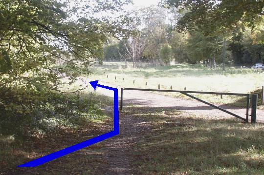Walking direction photo: 3 for walk East of the Rings, Badbury Rings, Dorset.