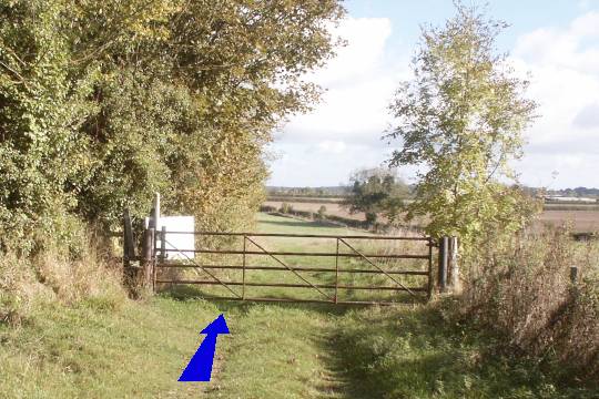 Walking direction photo: 5 for walk East of the Rings, Badbury Rings, Dorset.