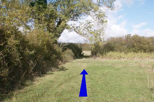 Walk direction photograph: 6 for walk East of the Rings, Badbury Rings, Dorset, South West England.