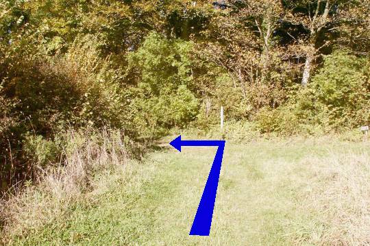 Walking direction photo: 7 for walk East of the Rings, Badbury Rings, Dorset.