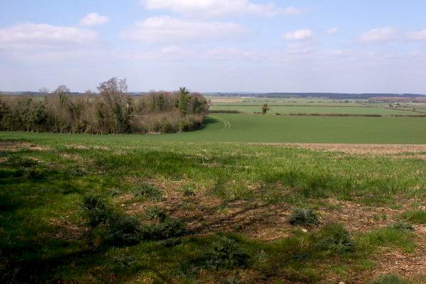 Picture, Photo, View of Badbury Rings, Dorset