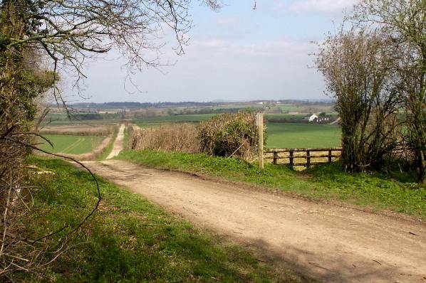 Picture, Photo, View of Badbury Rings, Dorset