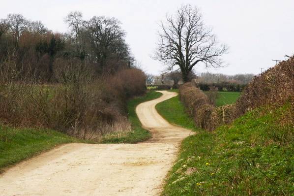 Picture, Photo, View of Badbury Rings, Dorset