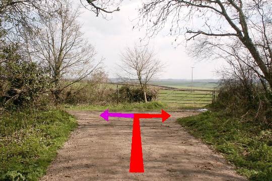 Walking direction photo: 1 for walk King Down, Badbury Rings, Dorset.