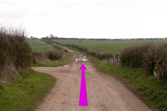 Walking direction photo: 3 for walk King Down, Badbury Rings, Dorset.