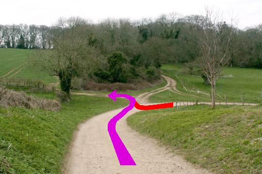 Walking direction photo: 7 for walk King Down, Badbury Rings, Dorset.