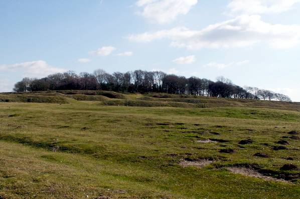 Picture, Photo, View of Badbury Rings, Dorset