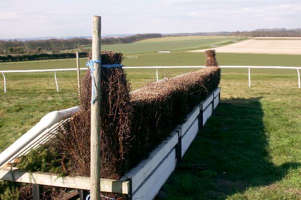 Picture, Photo, View of Badbury Rings, Dorset