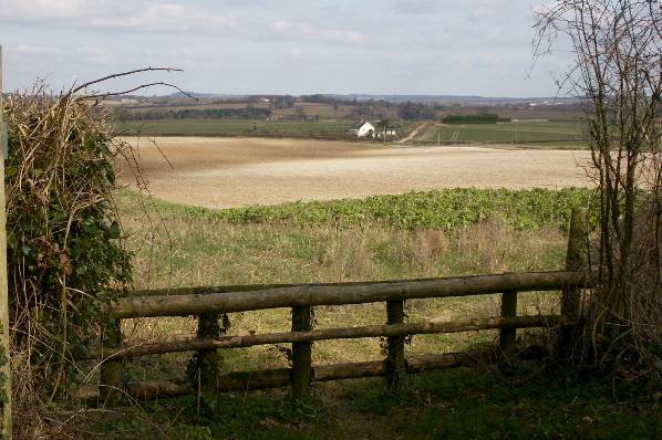 Picture, Photo, View of Badbury Rings, Dorset