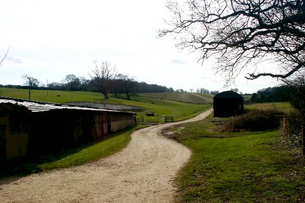 Picture, Photo, View of Badbury Rings, Dorset