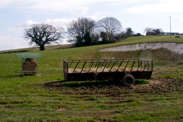 Picture, Photo, View of Badbury Rings, Dorset