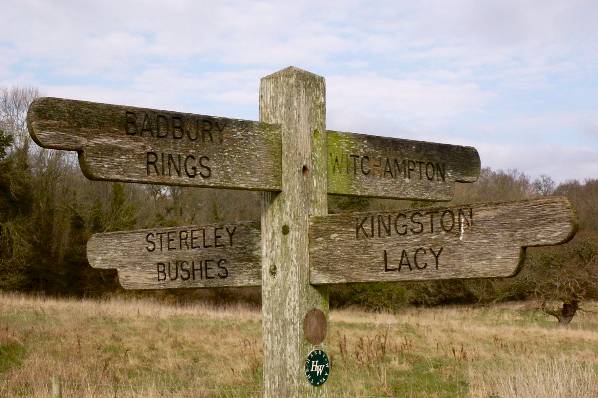 Picture, Photo, View of Badbury Rings, Dorset