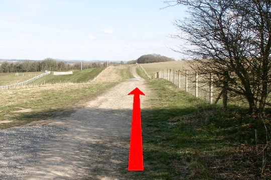 Walk direction photograph: 2 for walk North of the Rings, Badbury Rings, Dorset, South West England.