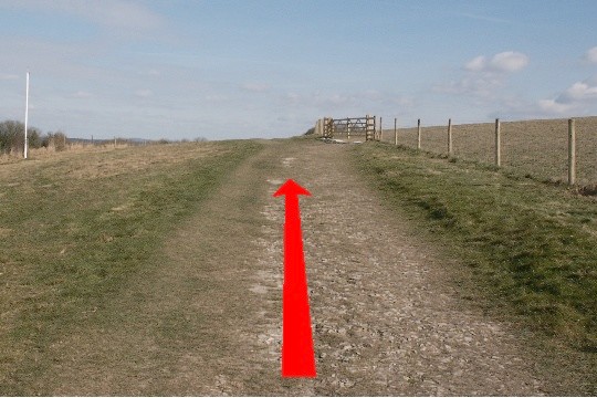 Walking direction photo: 3 for walk North of the Rings, Badbury Rings, Dorset.