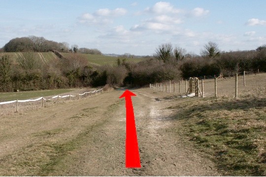 Walk direction photograph: 4 for walk North of the Rings, Badbury Rings, Dorset, South West England.