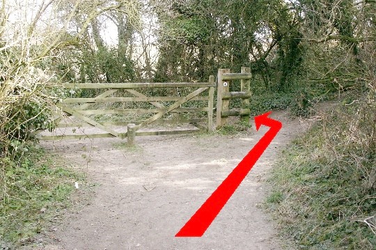 Walking direction photo: 5 for walk North of the Rings, Badbury Rings, Dorset.