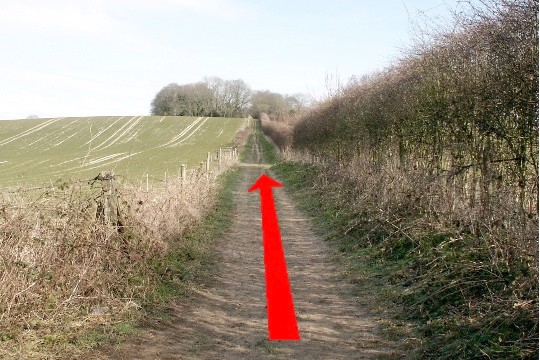 Walk direction photograph: 6 for walk North of the Rings, Badbury Rings, Dorset, South West England.