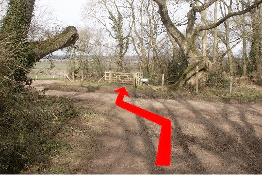 Walking direction photo: 7 for walk North of the Rings, Badbury Rings, Dorset.