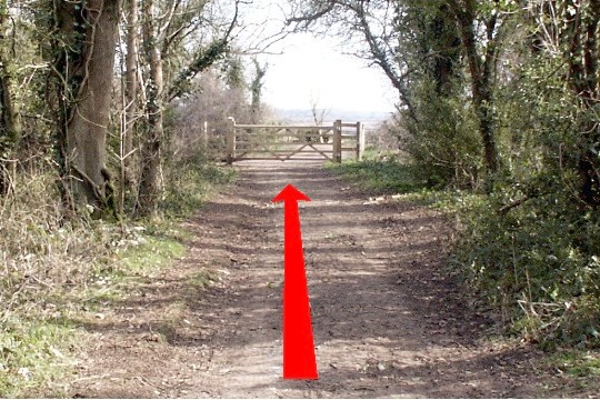 Walk direction photograph: 8 for walk North of the Rings, Badbury Rings, Dorset, South West England.