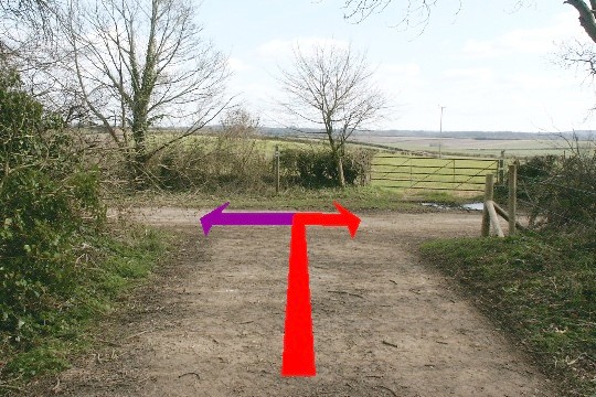 Walking direction photo: 9 for walk North of the Rings, Badbury Rings, Dorset.