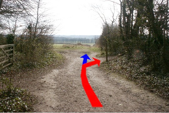 Walking direction photo: 11 for walk North of the Rings, Badbury Rings, Dorset.