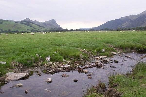 Picture, Photo, View of Castell y Bere, Gwynedd