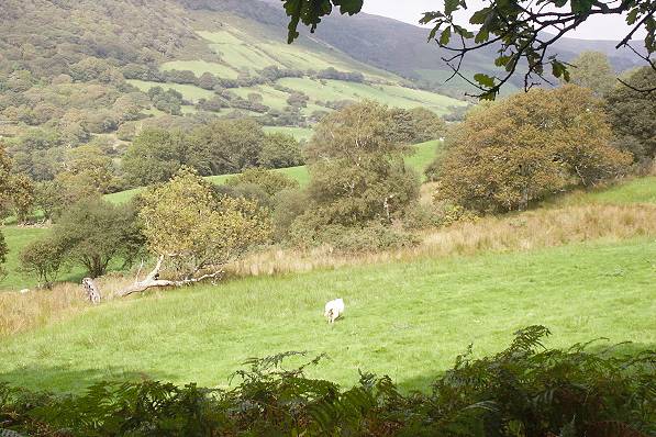 Picture, Photo, View of Castell y Bere, Gwynedd