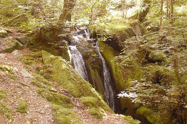 Picture, Photo, View of Castell y Bere, Gwynedd