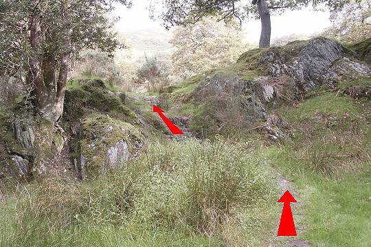 Walking direction photo: 5 for walk The Waterfalls, Castell y Bere, Gwynedd.