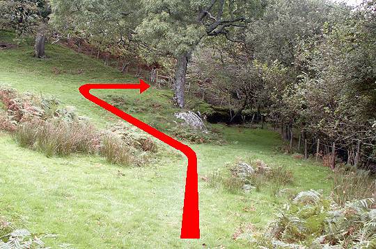 Walk direction photograph: 6 for walk The Waterfalls, Castell y Bere, Gwynedd, Wales.