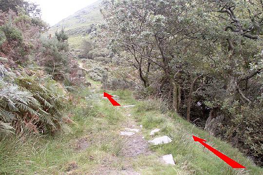 Walking direction photo: 7 for walk The Waterfalls, Castell y Bere, Gwynedd.