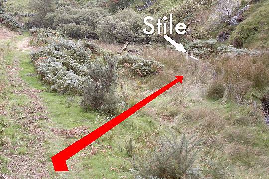 Walk direction photograph: 8 for walk The Waterfalls, Castell y Bere, Gwynedd, Wales.