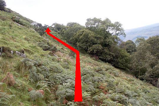 Walk direction photograph: 10 for walk The Waterfalls, Castell y Bere, Gwynedd, Wales.