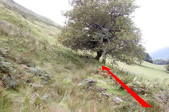 Walking direction photo: 11 for walk The Waterfalls, Castell y Bere, Gwynedd.