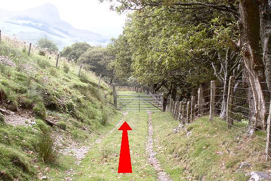 Walk direction photograph: 12 for walk The Waterfalls, Castell y Bere, Gwynedd, Wales.