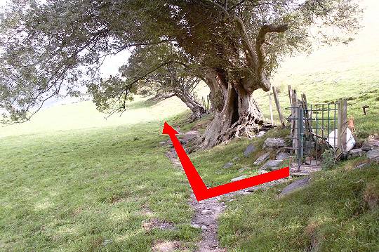 Walk direction photograph: 14 for walk The Waterfalls, Castell y Bere, Gwynedd, Wales.