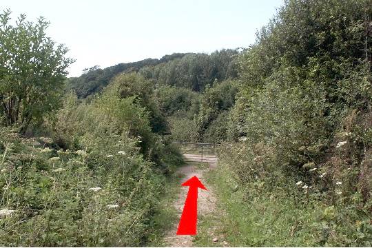 Walk direction photograph: 6 for walk Around Chapel Hill, Abbotsbury, Dorset, South West England.